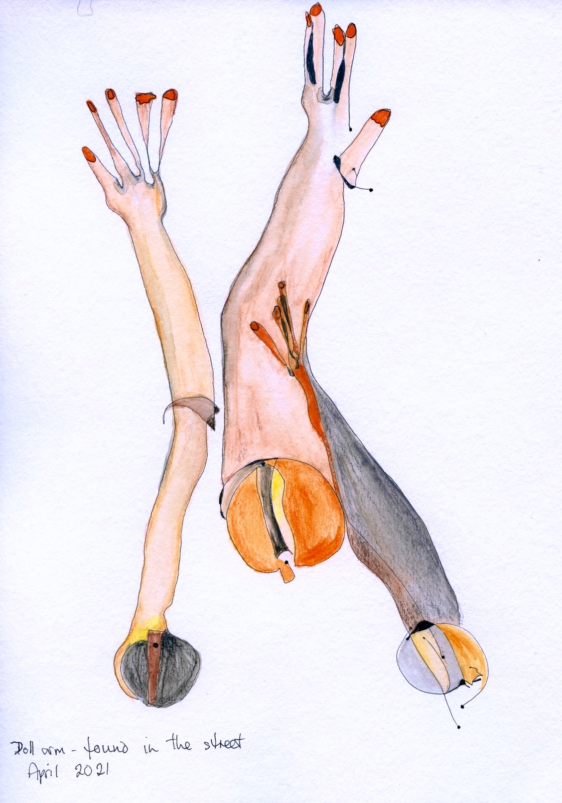 Doll arm found in the street